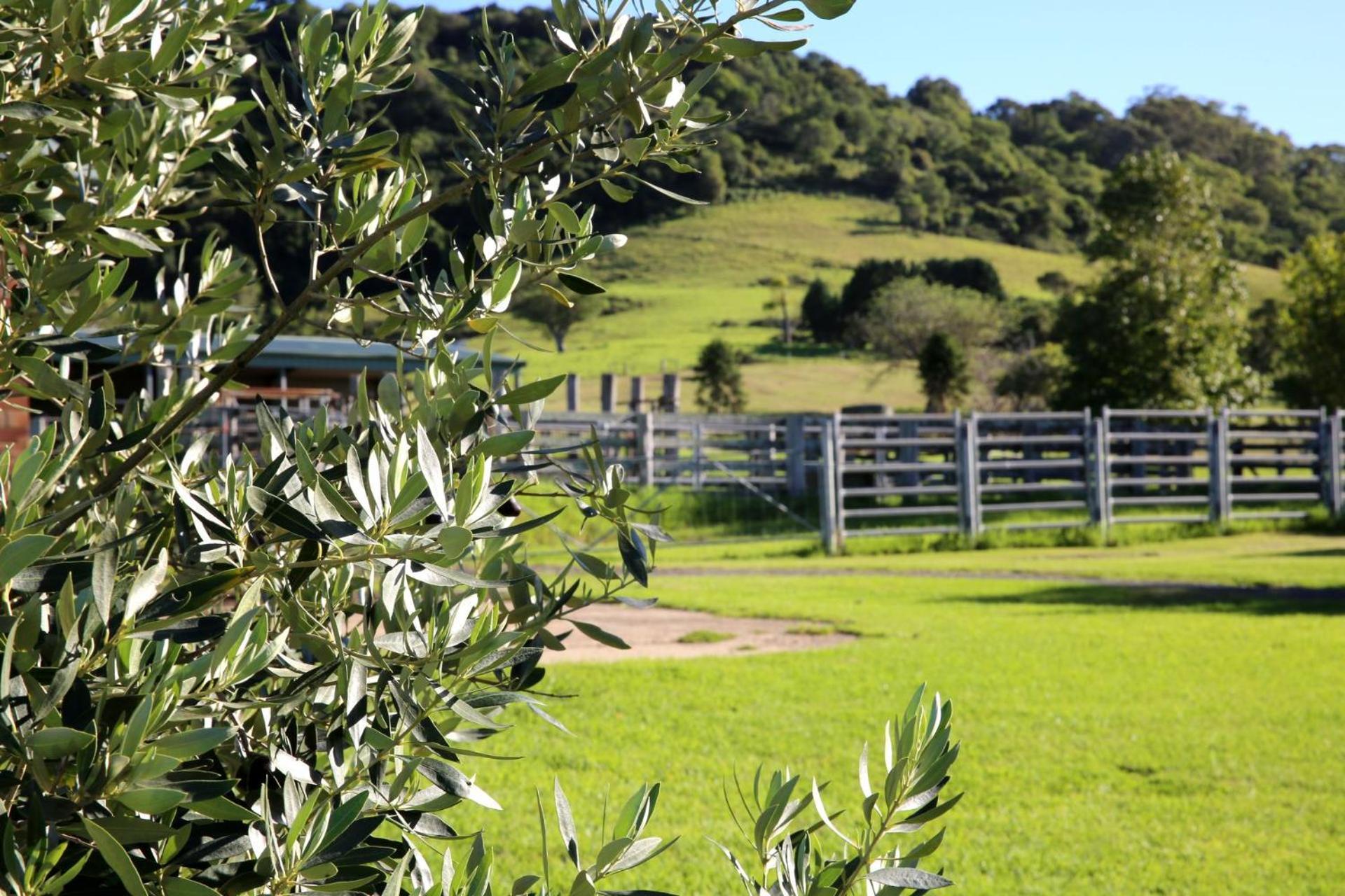 Harley Hill Farm - A Rare Country Escape Villa Berry Exterior photo